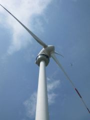Windpark Bruck-Leitha03 [800x600].jpg